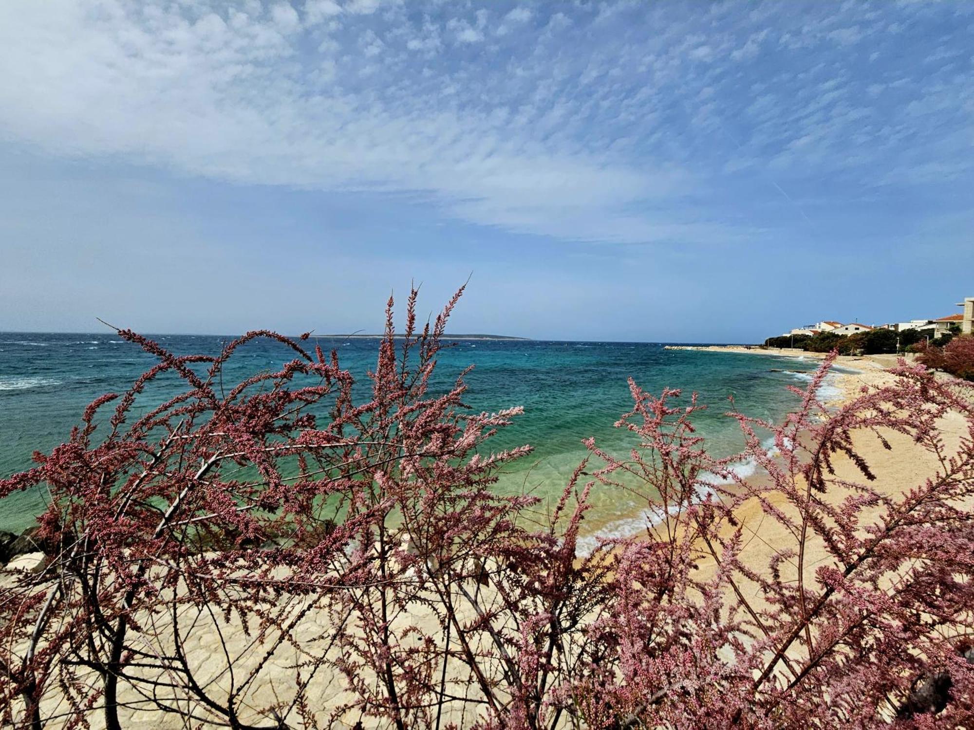 Apartments Cikac II - Modern Apartments By The Beach 만드레 외부 사진